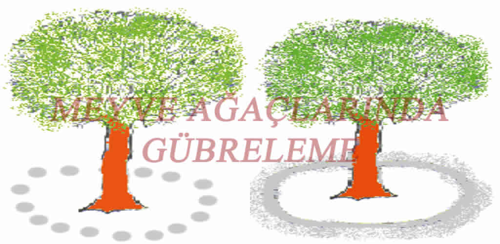 Meyve Ağaçları Gübreleme