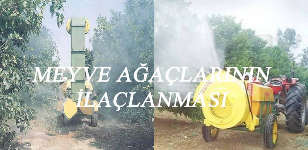 Meyve Ağaçları İlaçlama